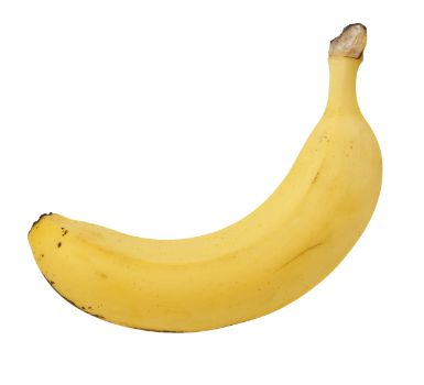 Commercial Bananas (Seedless Bananas)