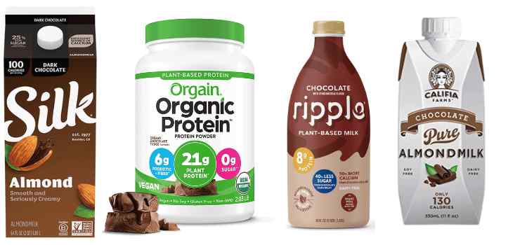 Dairy-Free Chocolate Flavor Powder Brands