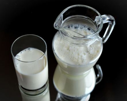 Differences between Milk and Butter Milk