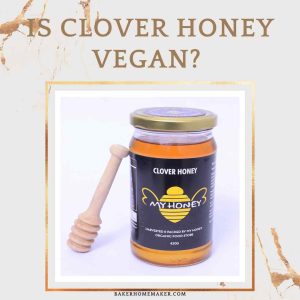 Is Clover Honey Vegan