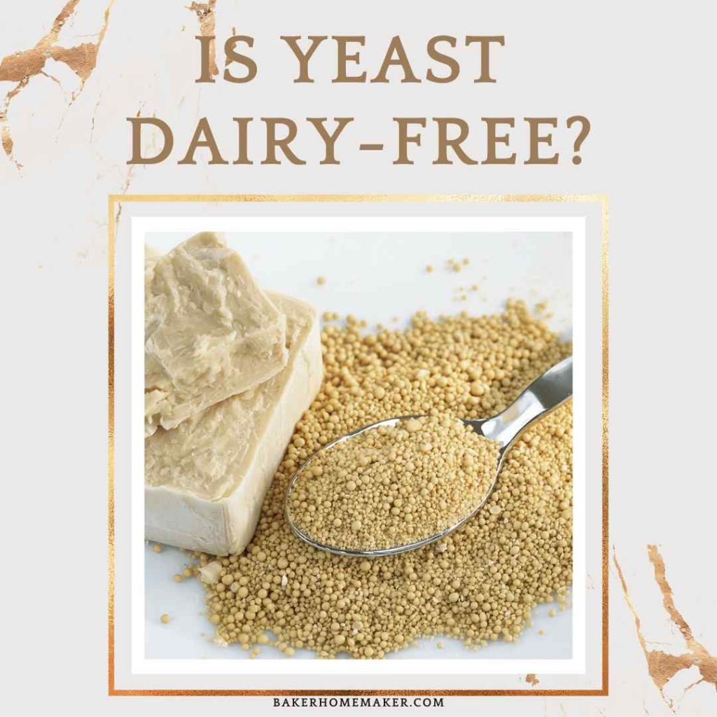 Is Yeast Dairy-Free?