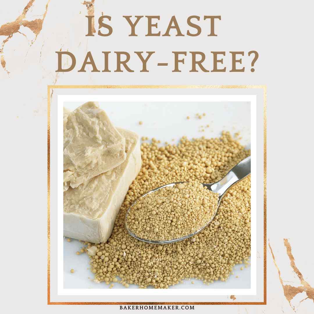 Is Yeast Dairy-Free?