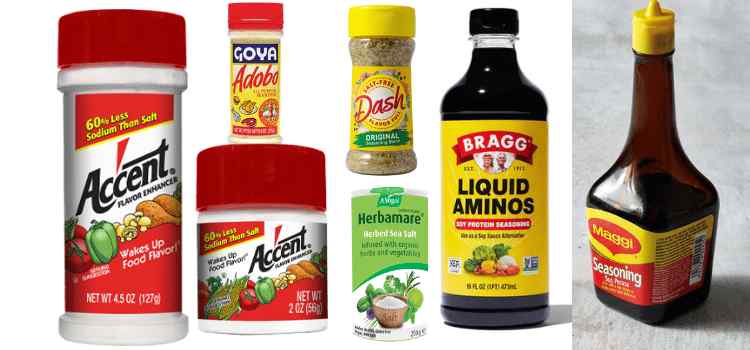 Other Flavor Enhancer/Seasoning Brands