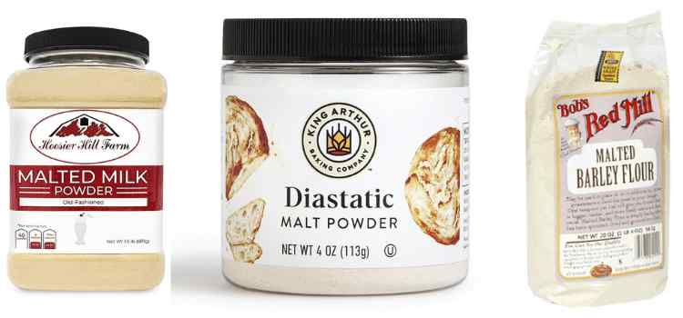 Best Diastatic Malt Powder Brands
