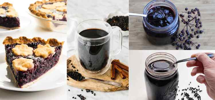Different Ways To Consume Elderberry & Taste Variation