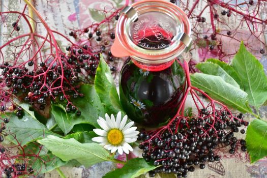Health Benefits Of Elderberry Syrup