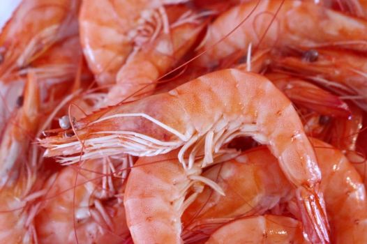 Taste And Texture Of Fully Cooked Shrimp