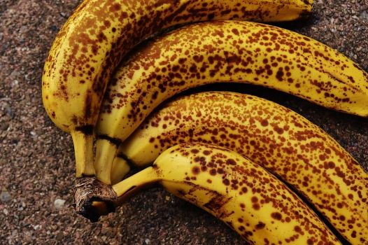 What Are The Differences Between Organic Bananas And Regular Bananas